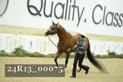 24R13_00075 thumbnail