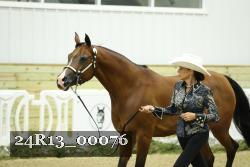24R13_00076 thumbnail