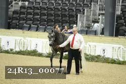24R13_00077 thumbnail