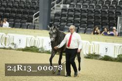 24R13_00078 thumbnail