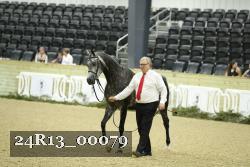 24R13_00079 thumbnail