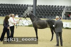 24R13_00082 thumbnail