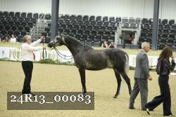 24R13_00083 thumbnail