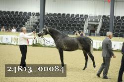 24R13_00084 thumbnail