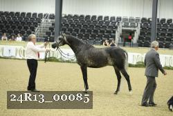 24R13_00085 thumbnail