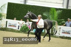 24R13_00086 thumbnail
