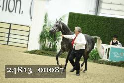 24R13_00087 thumbnail
