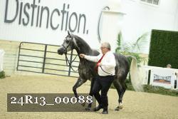 24R13_00088 thumbnail