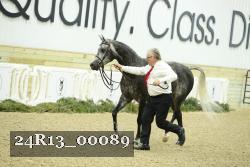24R13_00089 thumbnail