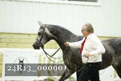 24R13_00090 thumbnail