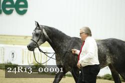 24R13_00091 thumbnail