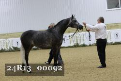 24R13_00092 thumbnail