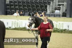 24R13_00094 thumbnail