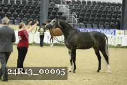 24R13_00095 thumbnail