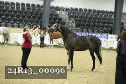 24R13_00096 thumbnail