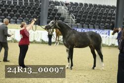 24R13_00097 thumbnail