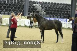 24R13_00098 thumbnail