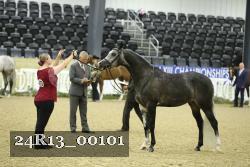 24R13_00101 thumbnail
