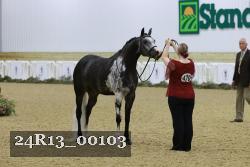 24R13_00103 thumbnail