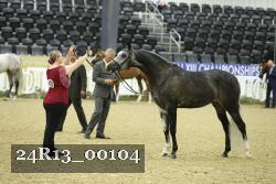 24R13_00104 thumbnail