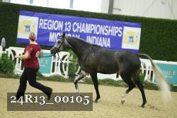 24R13_00105 thumbnail
