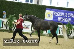 24R13_00106 thumbnail