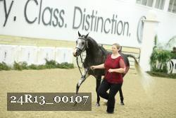 24R13_00107 thumbnail