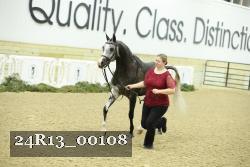 24R13_00108 thumbnail