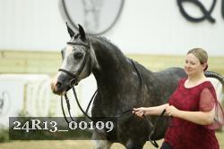 24R13_00109 thumbnail