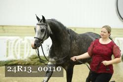 24R13_00110 thumbnail