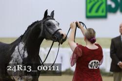 24R13_00111 thumbnail