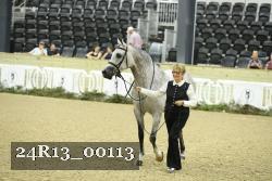 24R13_00113 thumbnail