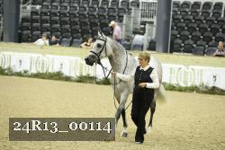 24R13_00114 thumbnail