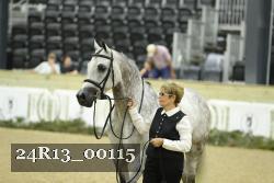 24R13_00115 thumbnail
