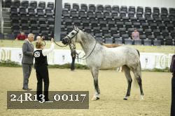 24R13_00117 thumbnail