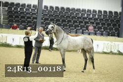 24R13_00118 thumbnail