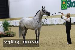 24R13_00120 thumbnail