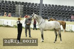 24R13_00121 thumbnail