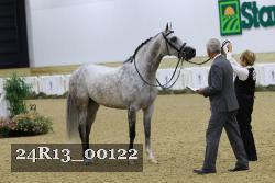24R13_00122 thumbnail