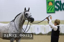 24R13_00123 thumbnail