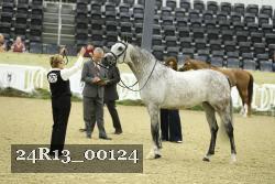 24R13_00124 thumbnail