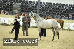 24R13_00126 thumbnail