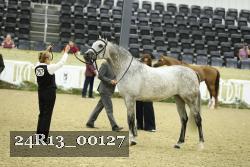 24R13_00127 thumbnail