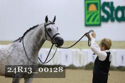 24R13_00128 thumbnail