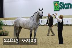 24R13_00129 thumbnail