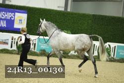 24R13_00130 thumbnail