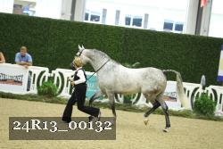24R13_00132 thumbnail