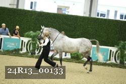 24R13_00133 thumbnail