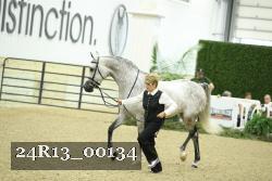 24R13_00134 thumbnail