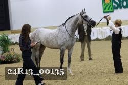 24R13_00135 thumbnail